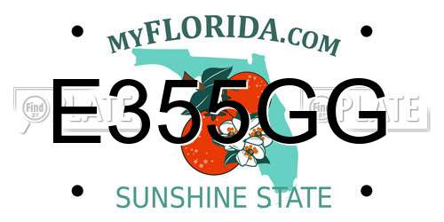 E355GG Florida License Plate
