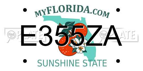 E355ZA Florida License Plate