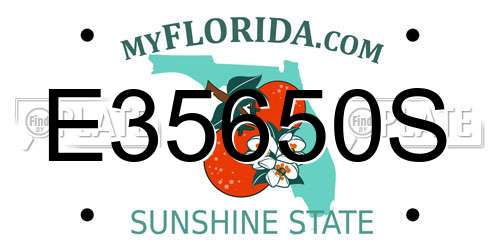 E35650S Florida License Plate