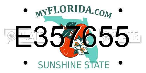 E357655 Florida License Plate