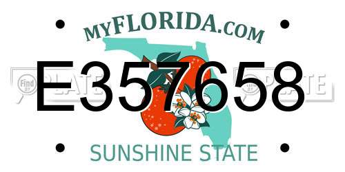 E357658 Florida License Plate