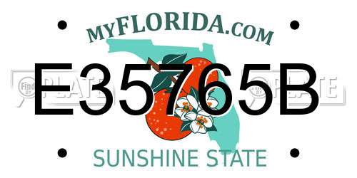 E35765B Florida License Plate