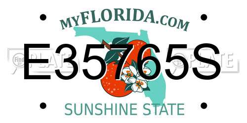 E35765S Florida License Plate