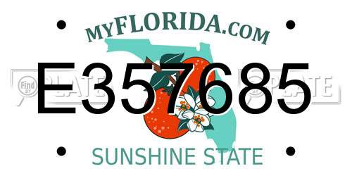 E357685 Florida License Plate