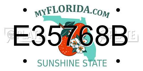 E35768B Florida License Plate