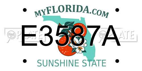 E3587A Florida License Plate