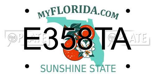 E358TA Florida License Plate