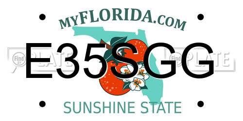 E35SGG Florida License Plate