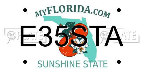 E35STA Florida License Plate