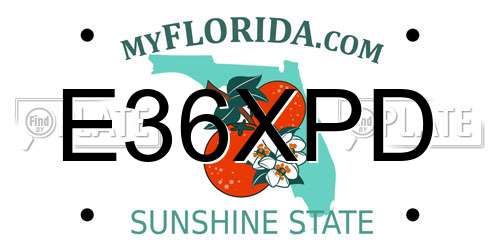 E36XPD Florida License Plate