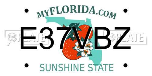 E37VBZ Florida License Plate