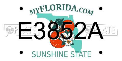 E3852A Florida License Plate