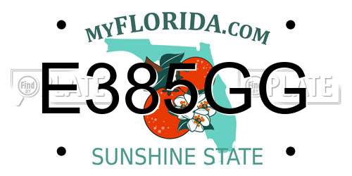E385GG Florida License Plate