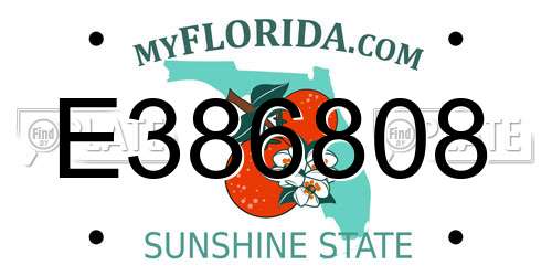 E386808 Florida License Plate