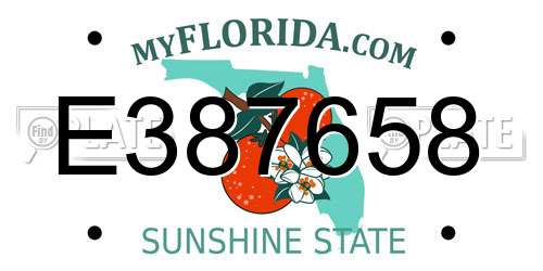 E387658 Florida License Plate