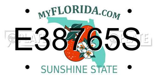 E38765S Florida License Plate
