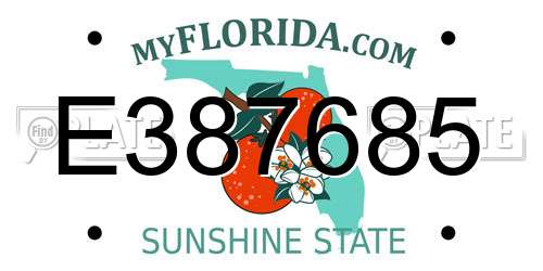 E387685 Florida License Plate