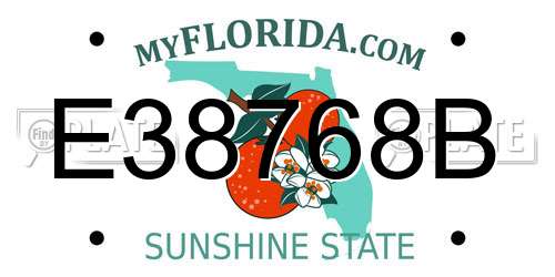E38768B Florida License Plate