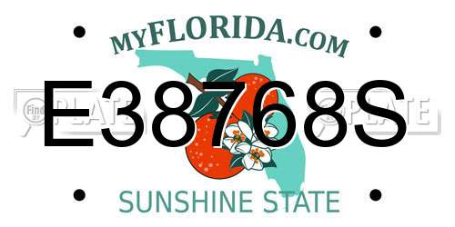 E38768S Florida License Plate