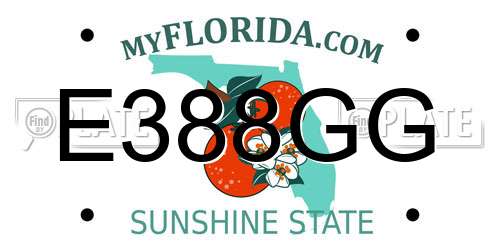 E388GG Florida License Plate