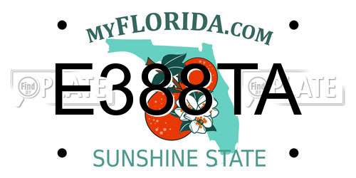 E388TA Florida License Plate