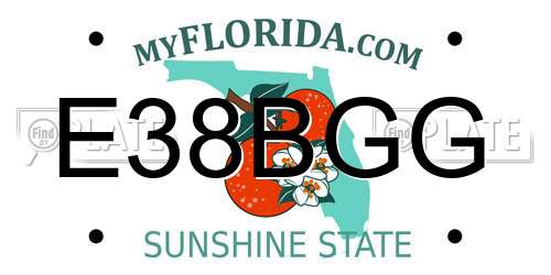 E38BGG Florida License Plate