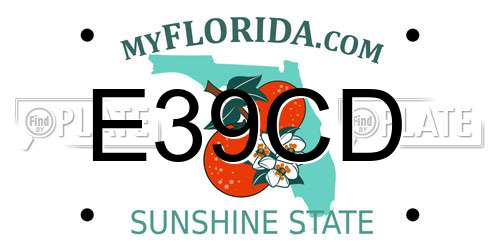 E39CD Florida License Plate