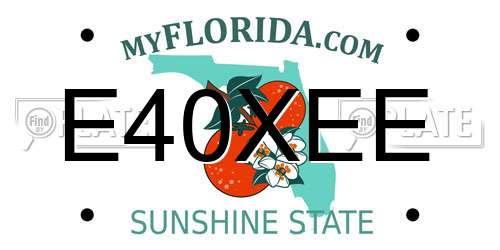 E40XEE Florida License Plate