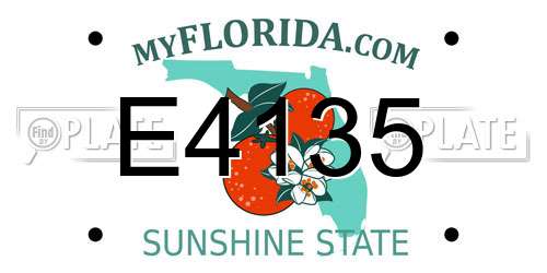 E4135 Florida License Plate