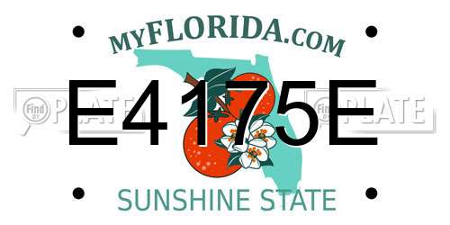 E4175E Florida License Plate