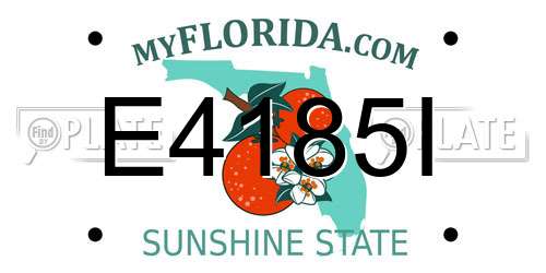 E4185I Florida License Plate
