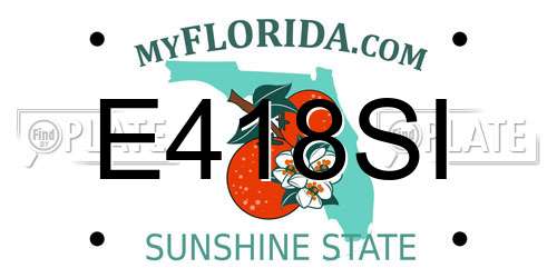 E418SI Florida License Plate