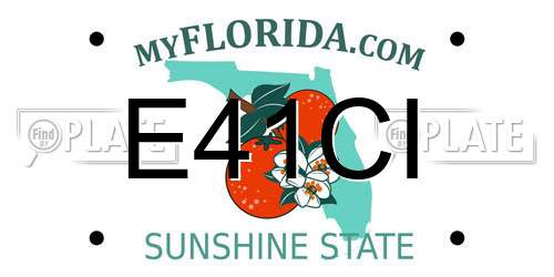 E41CI Florida License Plate