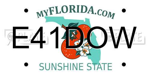 E41DOW Florida License Plate