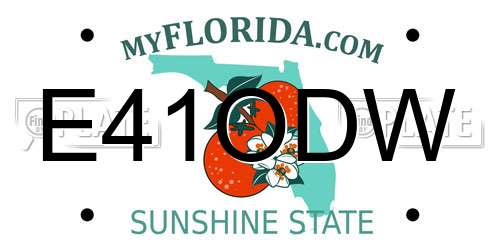 E41ODW Florida License Plate