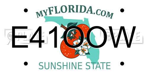 E41OOW Florida License Plate