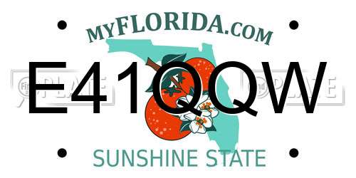 E41QQW Florida License Plate