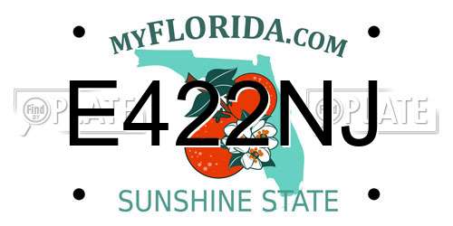 E422NJ Florida License Plate