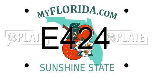 E424 Florida License Plate