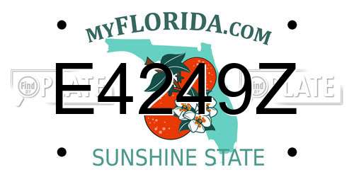 E4249Z Florida License Plate