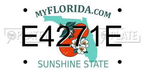 E4271E Florida License Plate