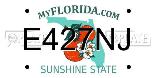 E427NJ Florida License Plate