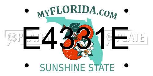 E4331E Florida License Plate
