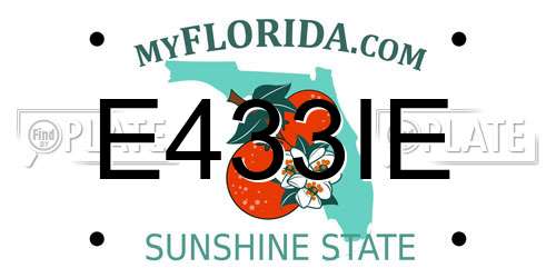 E433IE Florida License Plate
