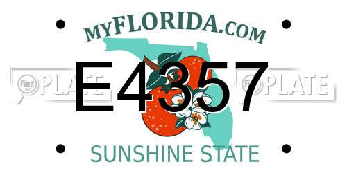 E4357 Florida License Plate