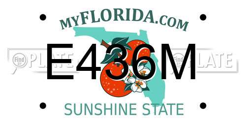 E436M Florida License Plate