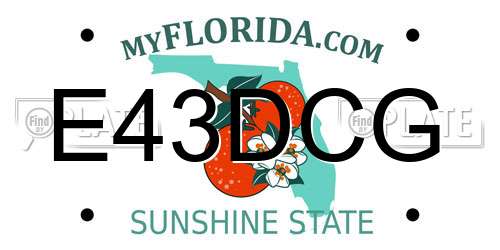 E43DCG Florida License Plate
