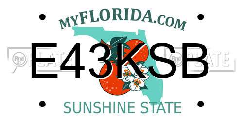E43KSB Florida License Plate