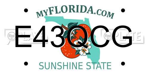 E43QCG Florida License Plate