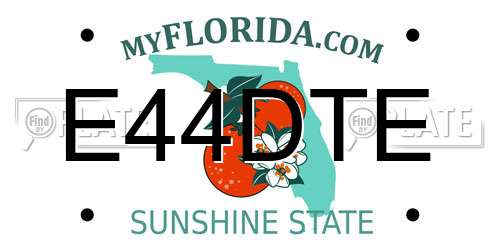 E44DTE Florida License Plate